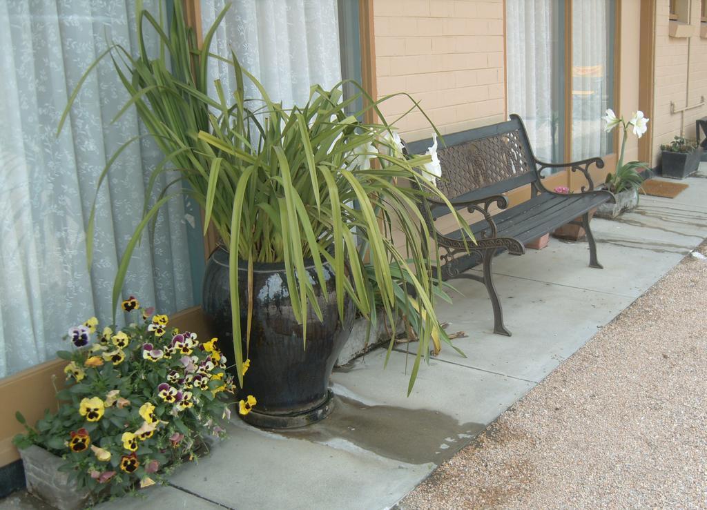 Travellers Rest Motel Бернсдейл Екстериор снимка